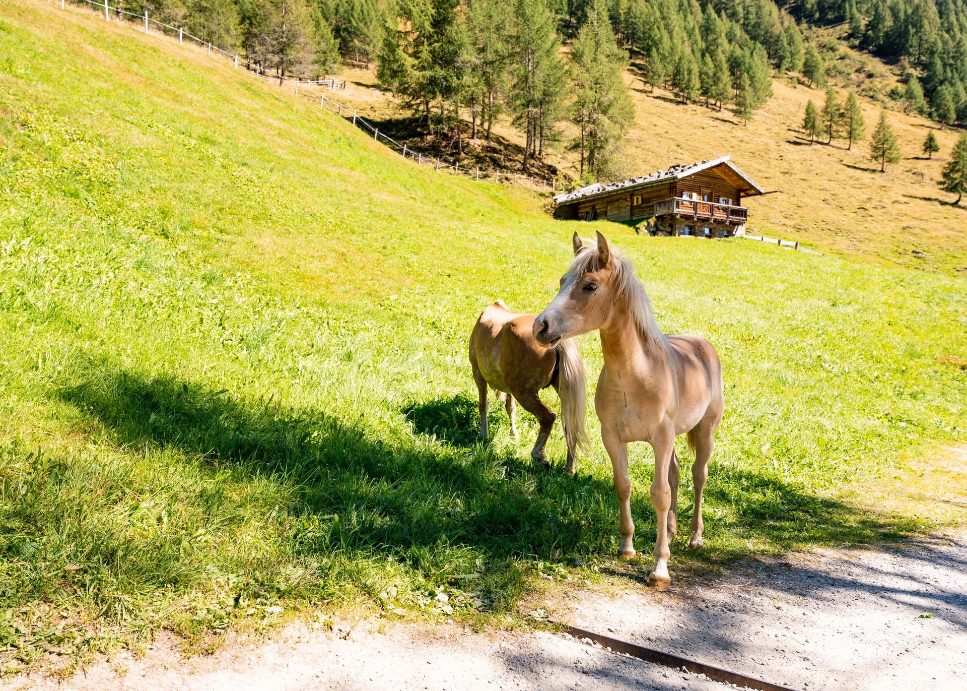 Picture gallery of Hotel Sonnenberg Picture gallery of Hotel Sonnenberg