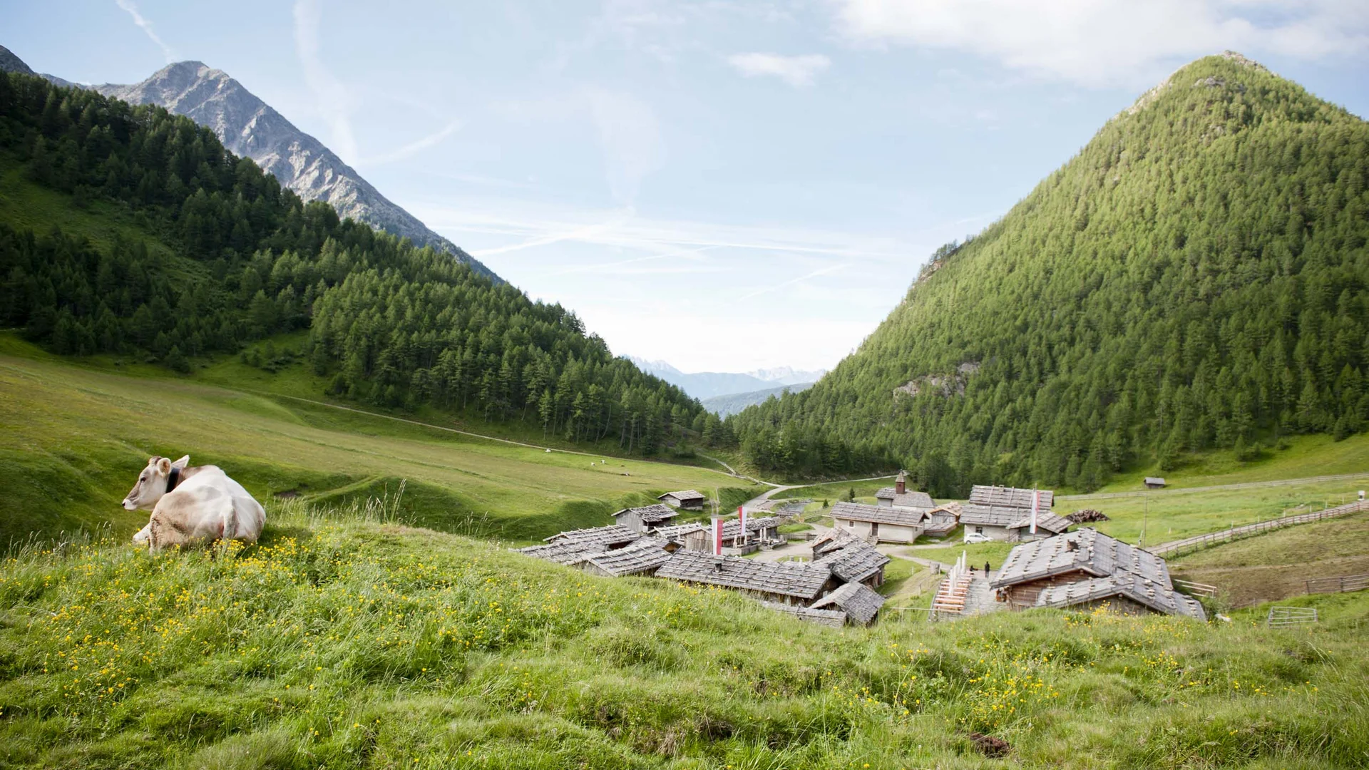 Active around this hiking hotel in Val Pusteria/Pustertal Active around this hiking hotel in Val Pusteria/Pustertal