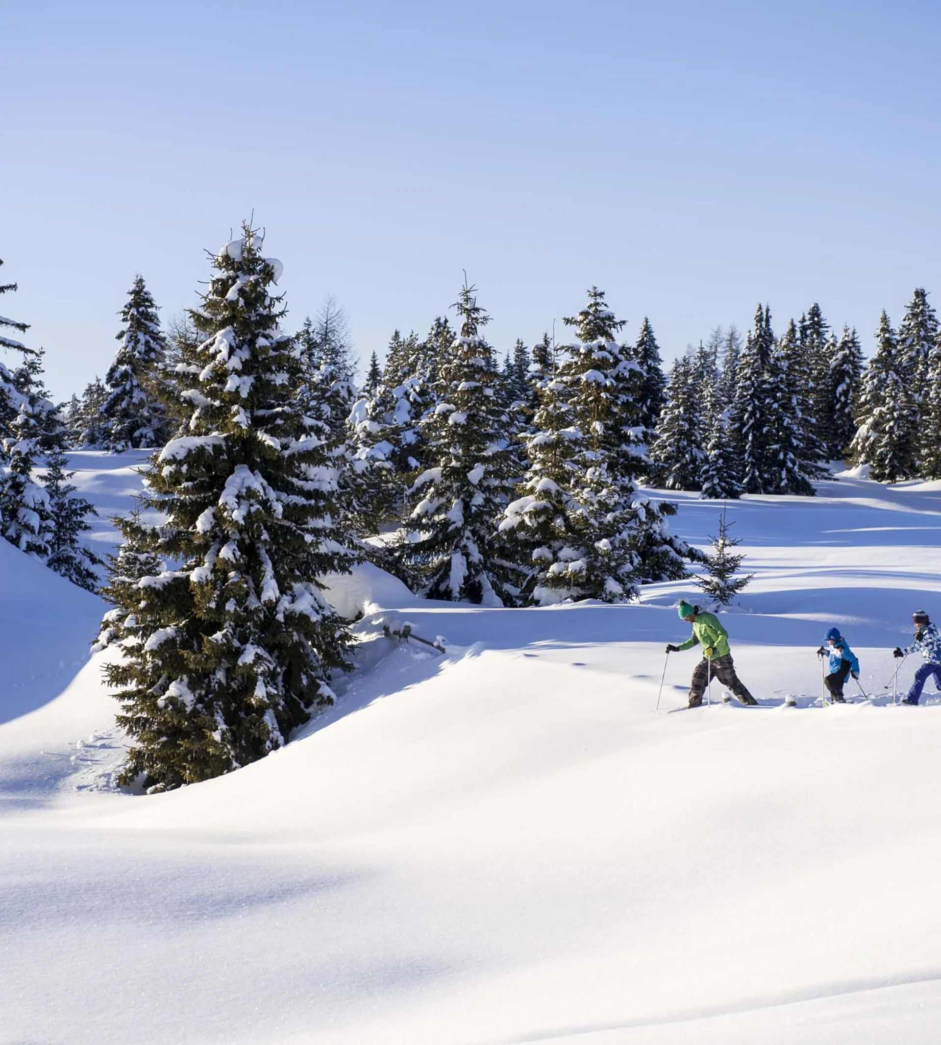 Sonnenberg – ski-in/ski-out in South Tyrol Sonnenberg – ski-in/ski-out in South Tyrol