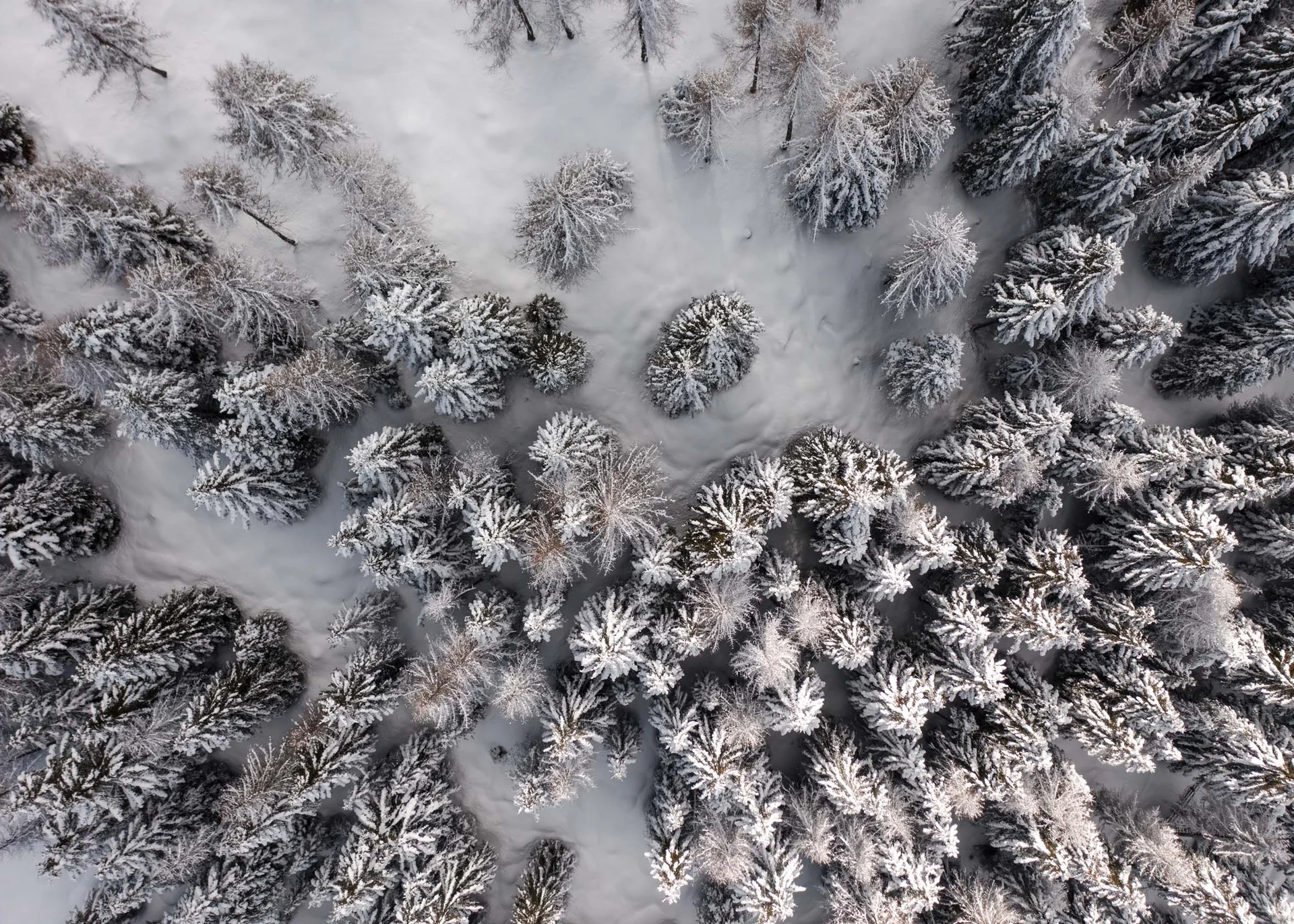 Picture gallery of Hotel Sonnenberg Picture gallery of Hotel Sonnenberg